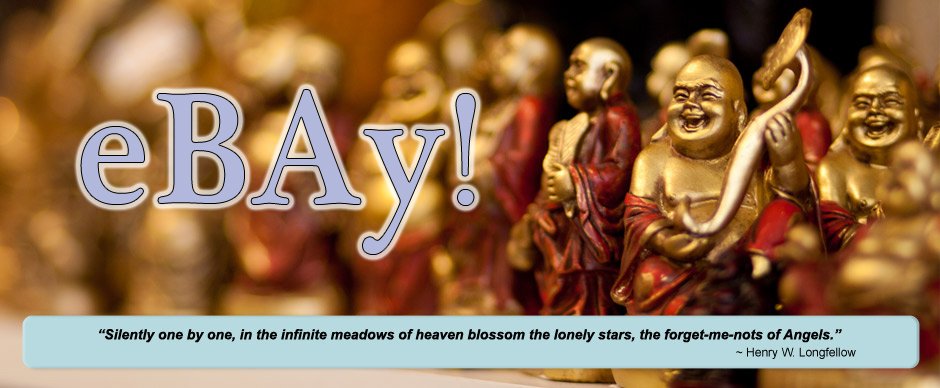 eBay Store Banner